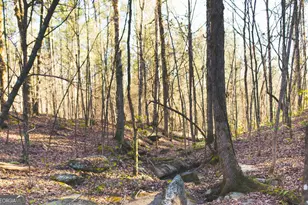 1081 Apalachee Rdg, Madison, GA 30650 - Photo 105