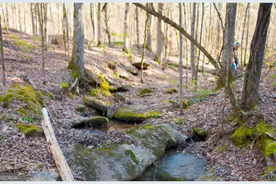 1081 Apalachee Ridge, Madison, GA 30650 - Photo 95