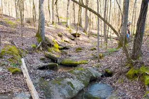 1081 Apalachee Rdg, Madison, GA 30650 - Photo 95