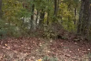 0 Blacks Bluff Rd, Cave Spring, GA 30124 - Photo 1