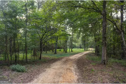31 Ga Hwy 41, Morgan, GA 39866 - Photo 11