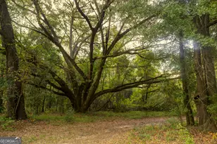 31 Ga Hwy 41, Morgan, GA 39866 - Photo 13