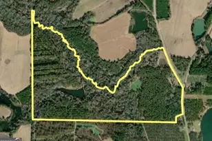 31 Ga Hwy 41, Morgan, GA 39866 - Photo 15