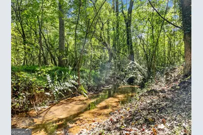 141 Willows Court, Cleveland, GA 30528 - Photo 63