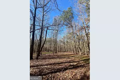 1090 Kansas-Jake Road, Waco, GA 30182 - Photo 11