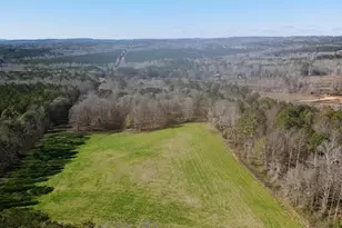 1090 Kansas Jake Rd, Waco, GA 30182 - Photo 1