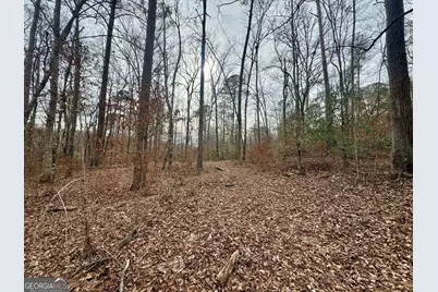 0 Hatchee Ridge Road, Dublin, GA 31021 - Photo 7
