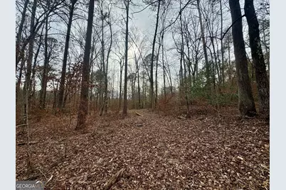0 Hatchee Ridge Road, Dublin, GA 31021 - Photo 5