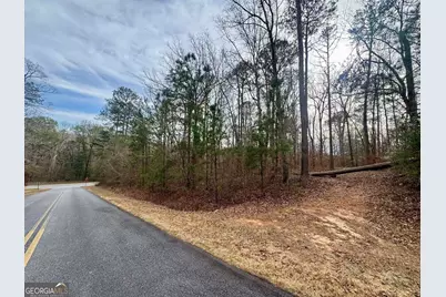 0 Hatchee Ridge Road, Dublin, GA 31021 - Photo 9