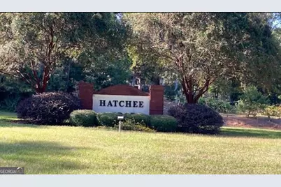 0 Hatchee Ridge Road, Dublin, GA 31021 - Photo 13