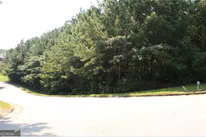 8747 Camron Drive, Winston, GA 30187 - Photo 17