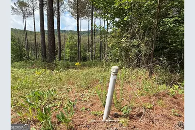 Lot 9 Eastview Trail, Ellijay, GA 30536 - Photo 7