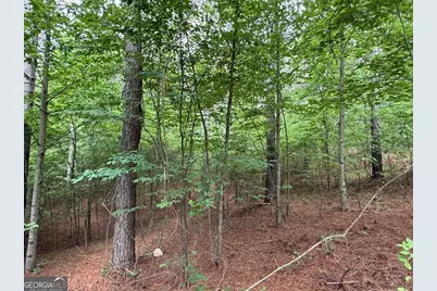 Lot 9 Eastview Trail, Ellijay, GA 30536 - Photo 13