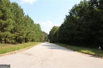 7718 Cheviot Drive, Winston, GA 30187 - Photo 17
