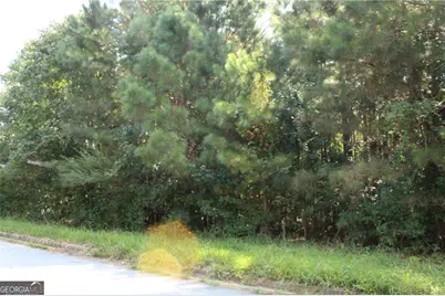 7718 Cheviot Drive, Winston, GA 30187 - Photo 13