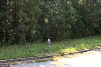7718 Cheviot Drive, Winston, GA 30187 - Photo 15