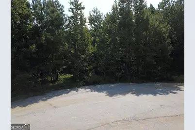 7732 Austin Court, Winston, GA 30187 - Photo 3
