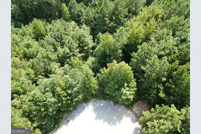 7722 Austin Court, Winston, GA 30187 - Photo 9