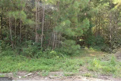 7728 Cheviot Drive, Winston, GA 30187 - Photo 15
