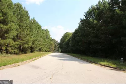 7728 Cheviot Drive, Winston, GA 30187 - Photo 17