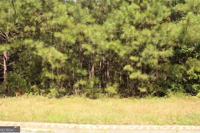 7699 Cheviot Drive, Winston, GA 30187 - Photo 7