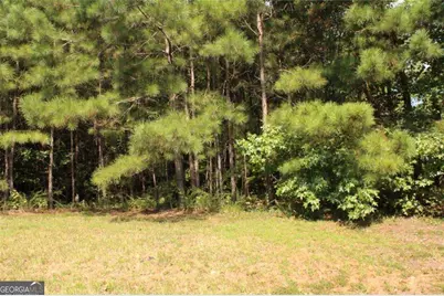 7699 Cheviot Drive, Winston, GA 30187 - Photo 9