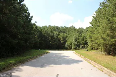 7699 Cheviot Drive, Winston, GA 30187 - Photo 11