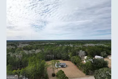 1337 H.G. Miles Drive, Shellman Bluff, GA 31331 - Photo 7