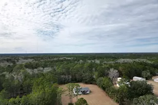 1337 H G Miles Dr, Shellman Bluff, GA 31331 - Photo 7