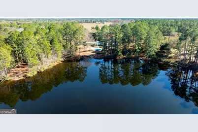 2685 Carters Bridge Road, Claxton, GA 30417 - Photo 9