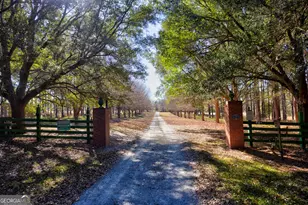 2685 Carters Bridge Rd, Claxton, GA 30417 - Photo 1