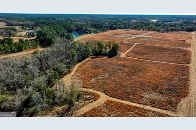 2685 Carters Bridge Road, Claxton, GA 30417 - Photo 7