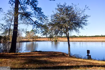 2685 Carters Bridge Road, Claxton, GA 30417 - Photo 17