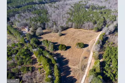0 Levi Bradbury Road, Moreland, GA 30259 - Photo 5