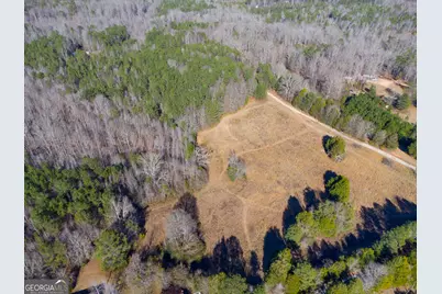 0 Levi Bradbury Road, Moreland, GA 30259 - Photo 3