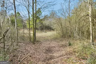 760 Fortson Compton Rd, Comer, GA 30629 - Photo 53