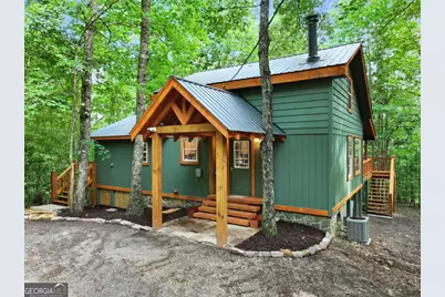 166 Nantahala Pass Road, Blue Ridge, GA 30513 - Photo 43