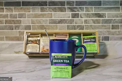 166 Nantahala Pass Road, Blue Ridge, GA 30513 - Photo 13