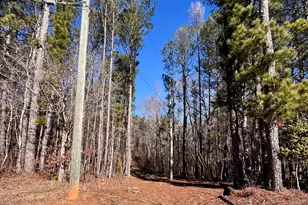 5095 N Helton Rd, Winston, GA 30187 - Photo 3