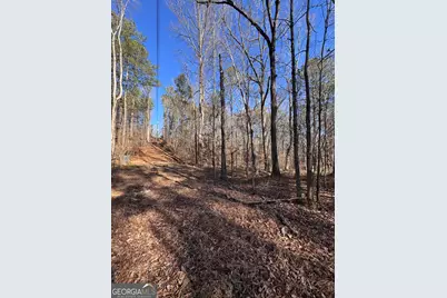 5095 N Helton Road, Winston, GA 30187 - Photo 5