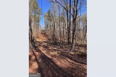 5095 N Helton Road, Winston, GA 30187 - Photo 7