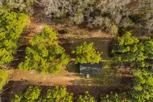 646 Bonnett Rd, Portal, GA 30450 - Photo 15