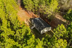 646 Bonnett Rd, Portal, GA 30450 - Photo 13