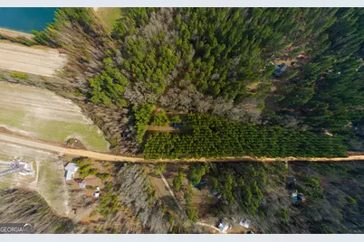 646 Bonnett Road, Portal, GA 30450 - Photo 17