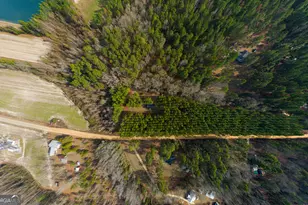 646 Bonnett Rd, Portal, GA 30450 - Photo 17