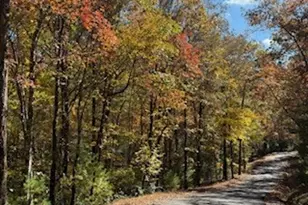 Lot 9 Peter Knob Rd, Blue Ridge, GA 30513 - Photo 1