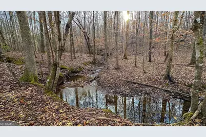 0 Thomas Street, Roopville, GA 30170 - Photo 29