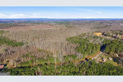 0 Thomas Street, Roopville, GA 30170 - Photo 21