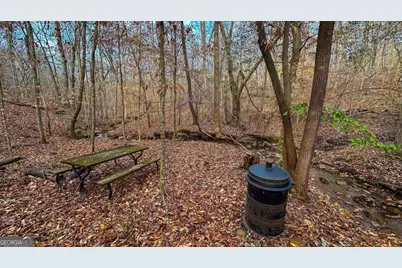 0 Thomas Street, Roopville, GA 30170 - Photo 33