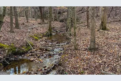 0 Thomas Street, Roopville, GA 30170 - Photo 31